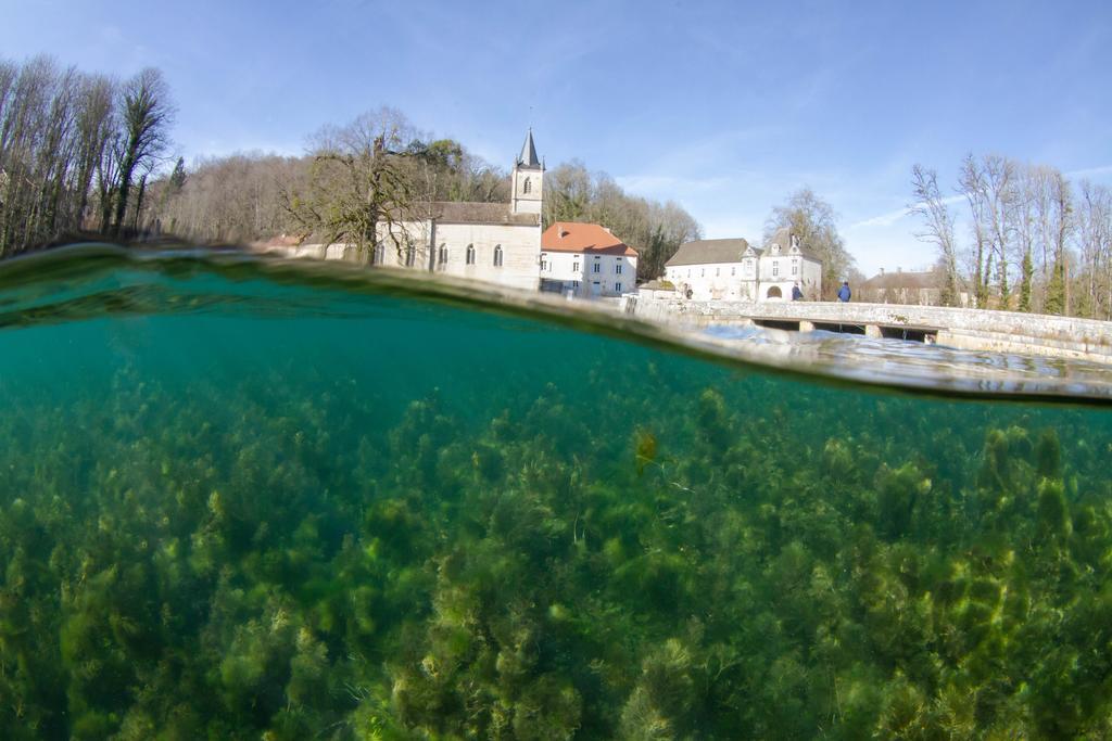 Bed and Breakfast Gentilhommiere Eaux Bleues Ecot-la Combe Exterior foto